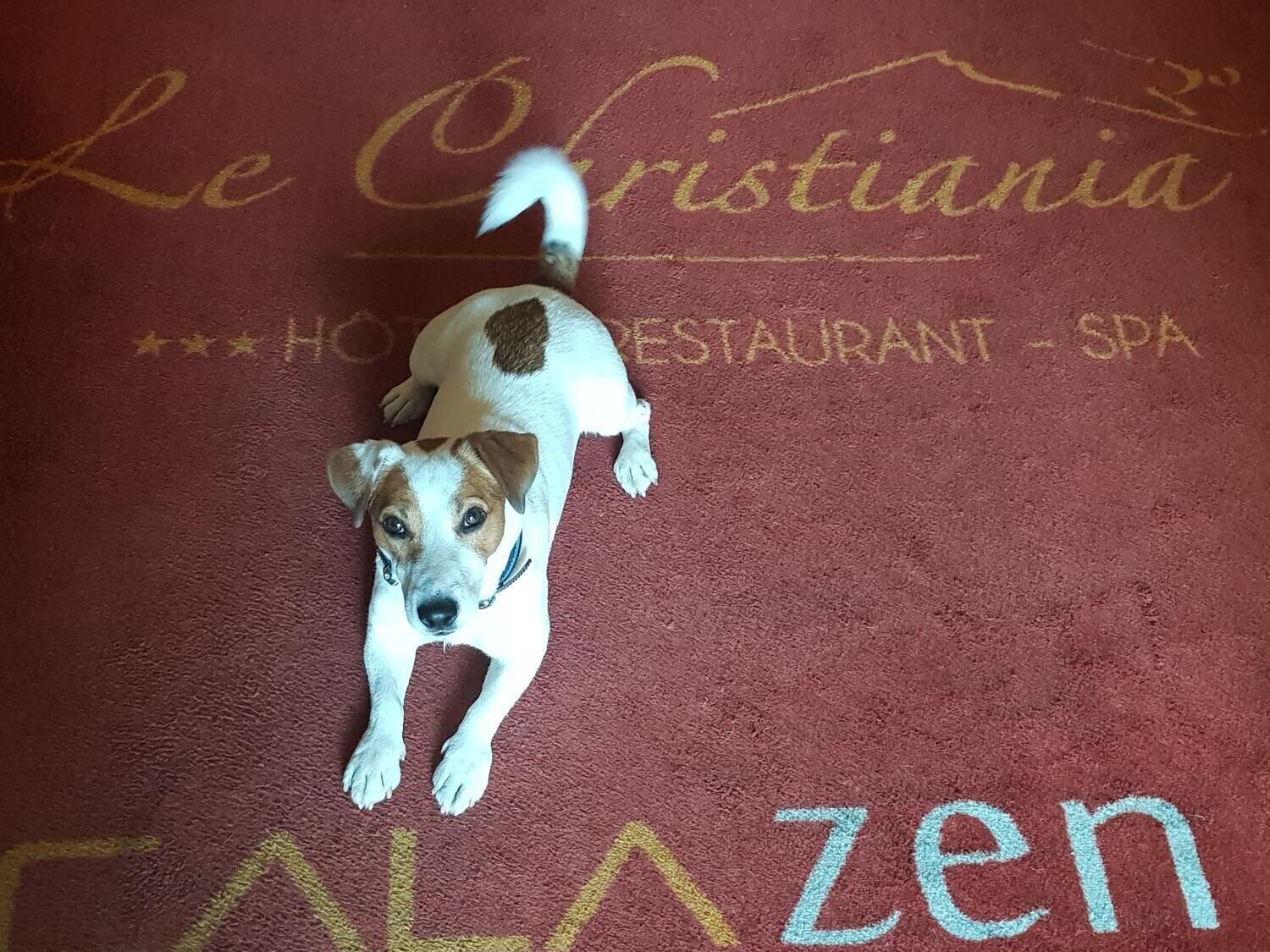 Le Christiania Hotel & Spa 라살르레알프 외부 사진